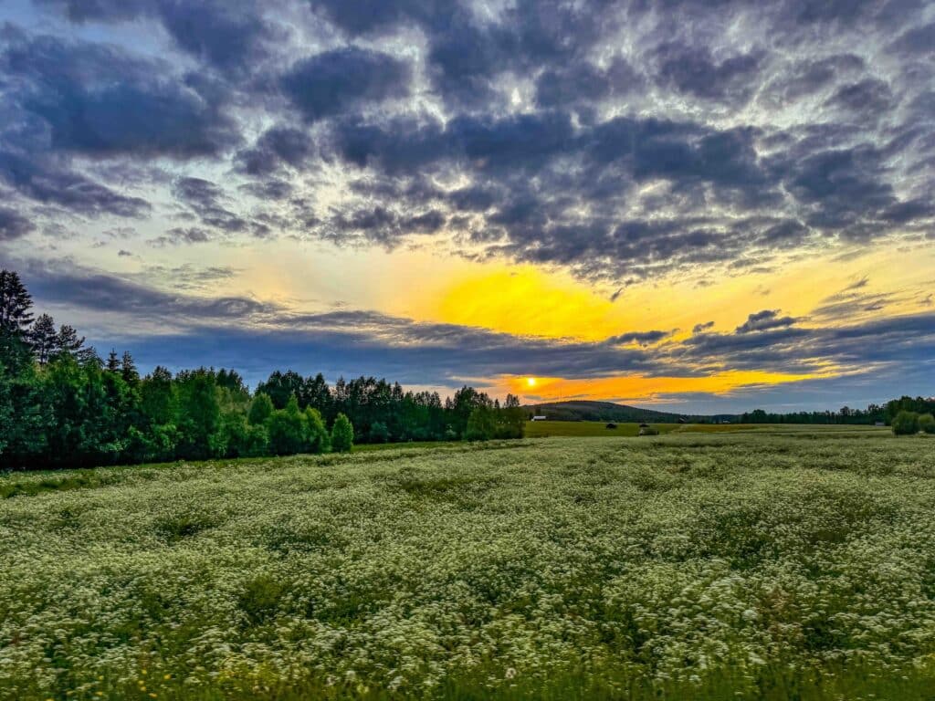 Wiebke JAhn Schweden Sommer